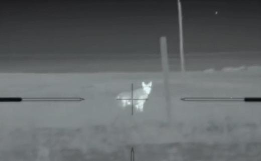 95式自动步枪被爆头危险的原因,95步枪连发打不了为什么