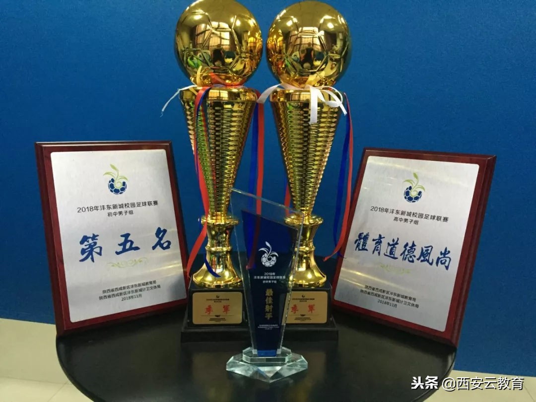 沣西新城中小学校际足球联赛,西安高新区中小学校园足球联赛