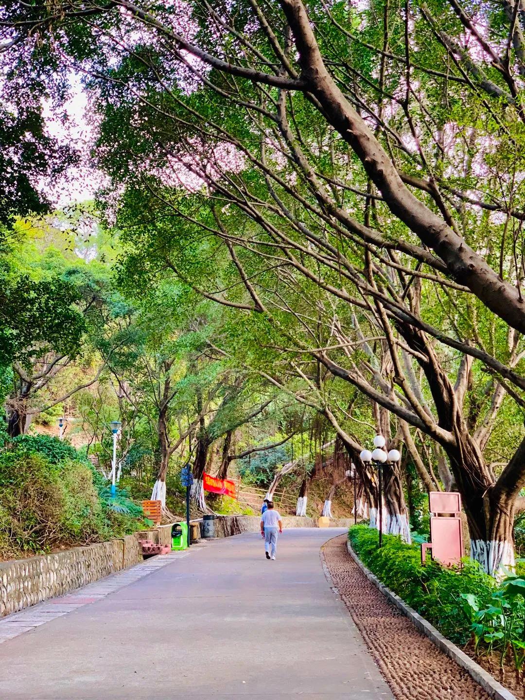 发誓做一件事做到了还有影响吗,发誓要完成的任务