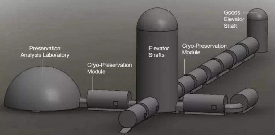 第六次灭绝来了?科学家计划送精子卵子上太空,含50个人类样本