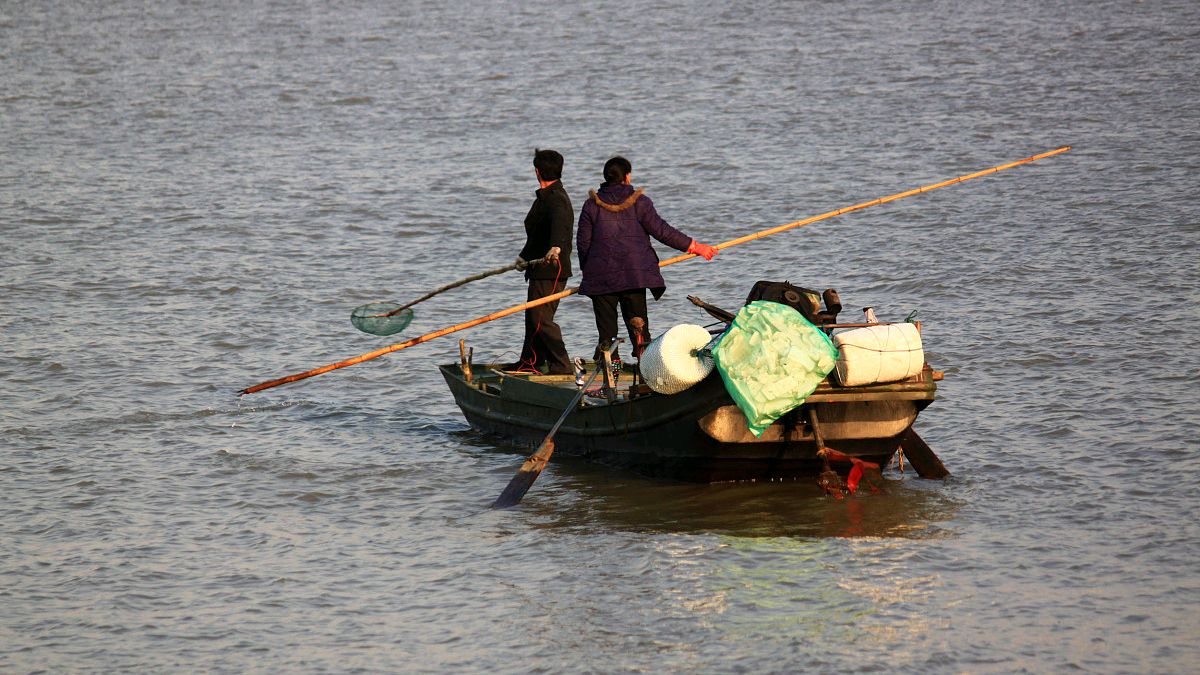 电鱼从什么时候禁止了,电鱼为什么是违法的