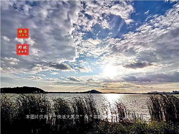 武汉后官湖湿地公园水质清澈风光,后官湖湿地是武汉最小的湿地吗