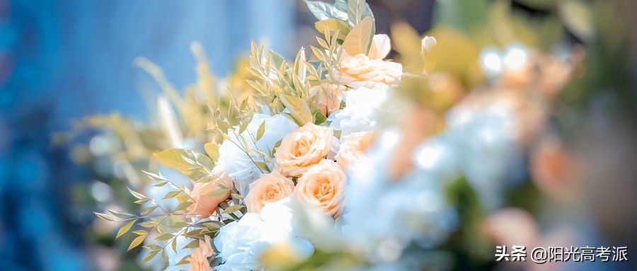 河北211大学排名及录取分数线,211大学名单排名和录取分数线河北