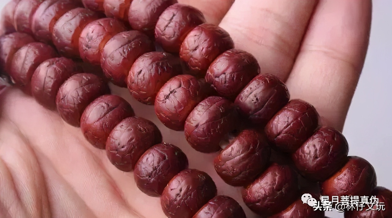 凤眼菩提视频教程,凤眼菩提介绍视频