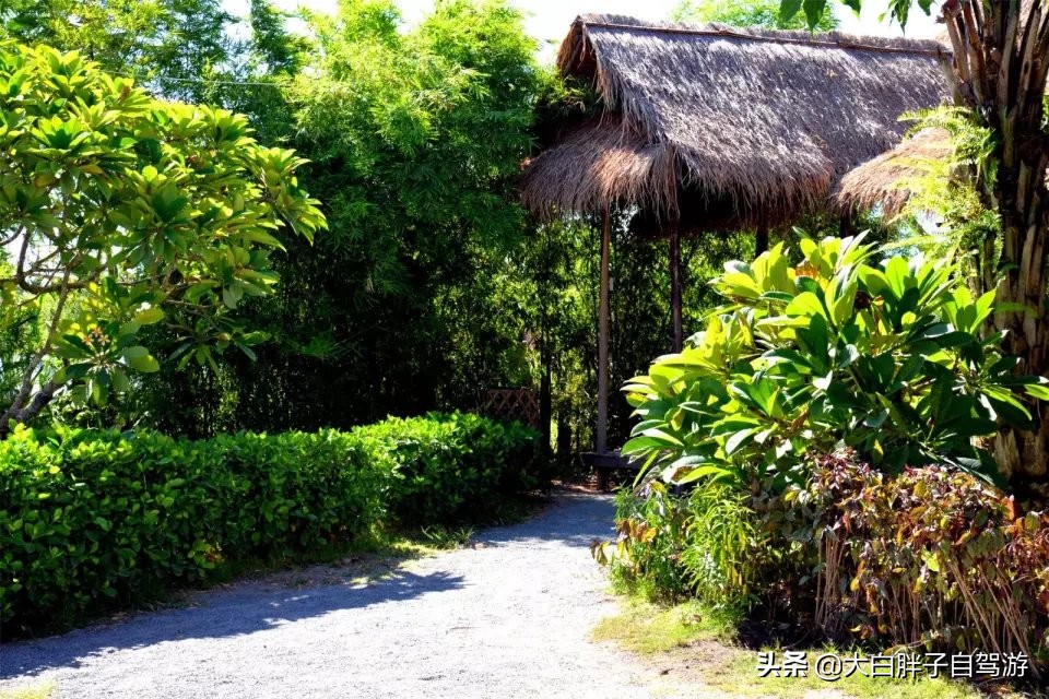 泰国风情之旅完整版小说,泰国风情十日游