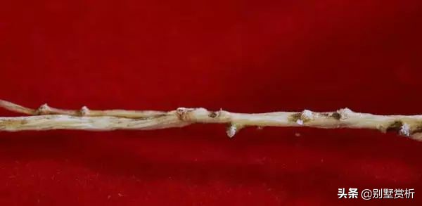 人参几元,人参几块钱