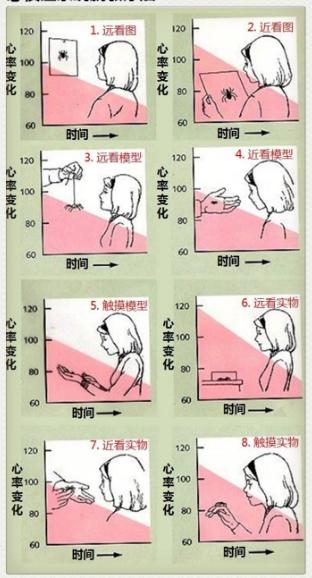 儿童恐惧症的表现及干预动画,小孩上台恐惧症如何治疗
