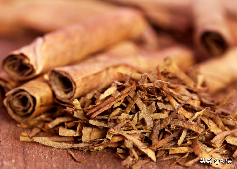 十种不能给狗吃的食物,狗的克星食物