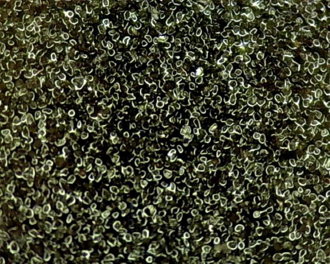 坚硬无比的金刚石镶在钢板上？全靠一层镍裹着，这就是电镀金刚石