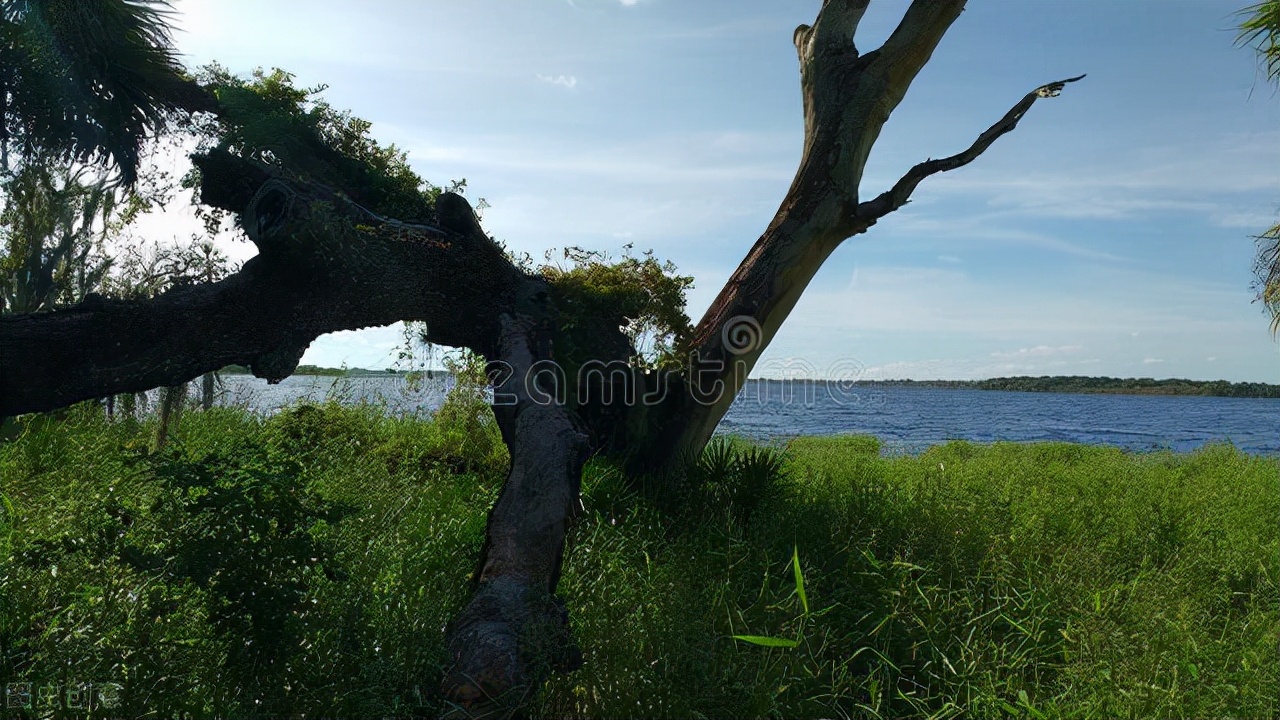 升官一定要学历吗,升官要高调