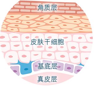 全球干细胞药都哪些,2020全球有上市的干细胞药物吗