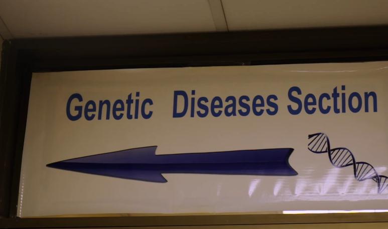 太阳能男孩完整版,太阳能男孩现状