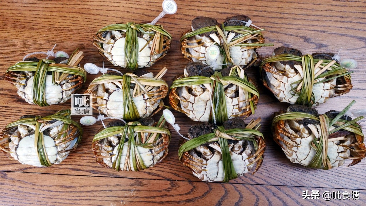 秋风起蟹脚黄指的是大闸蟹吗,秋风起蟹脚肥浦东大闸蟹陆续上市