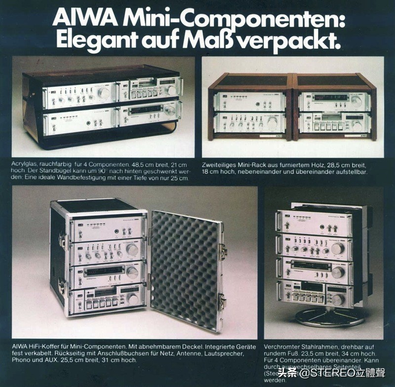 她们都很美全文免费阅读,他们都很美丽原版