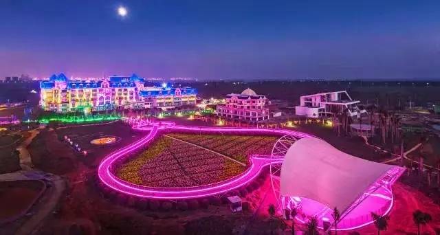 去百万葵园旅游,带小孩去百万葵园玩