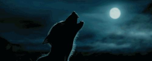 狼人症产生的原因,不道德行为有哪些危害