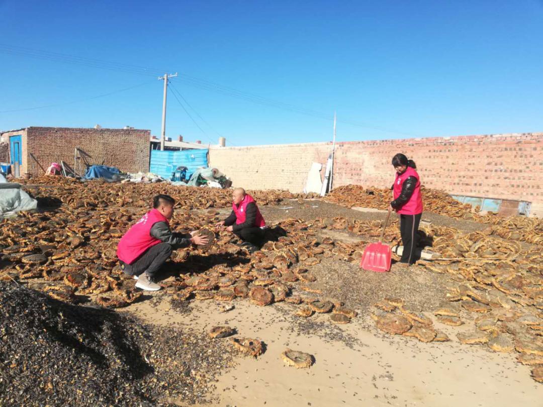 固阳县金山镇新时代文明实践,喜报固阳县文明创建再添荣誉