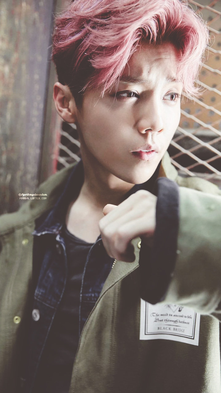 【鹿晗壁纸】小鹿壁纸真爱在右下