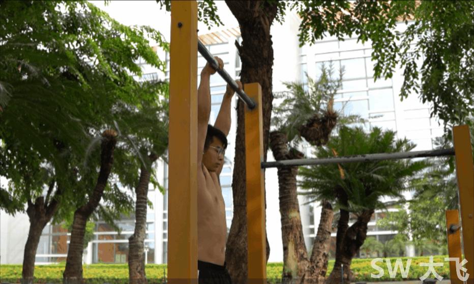 街头健身五大神技学习视频,街头健身5神技
