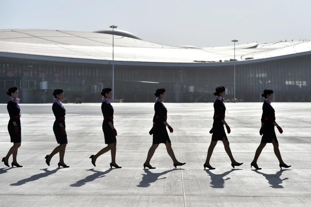 绌哄骞插吋鑱屽洜鐤儏澶变笟,绌哄鐤儏鑷晳