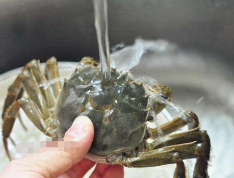 蒸螃蟹的窍门冷水还是热水,蒸螃蟹的技巧怎么不让蟹黄流出来