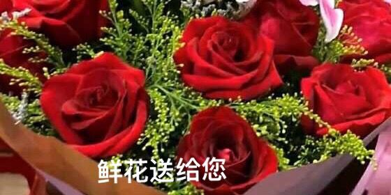 《我们永远是祖国的兵》（一）庆祝八一建军节93周年联欢晚会实况