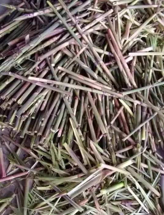 浙江现在这种笋叫什么笋,有一种很大的竹笋叫啥笋