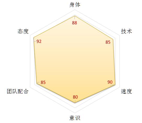 19岁天才前锋哈兰德简历,最被高估的球员哈兰德