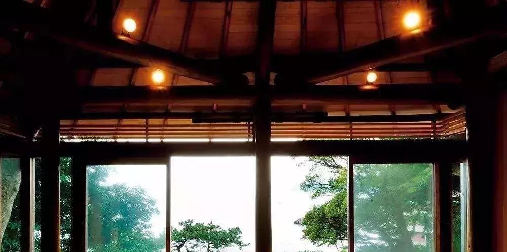 「树种介绍」软木中的贵族——日本桧木