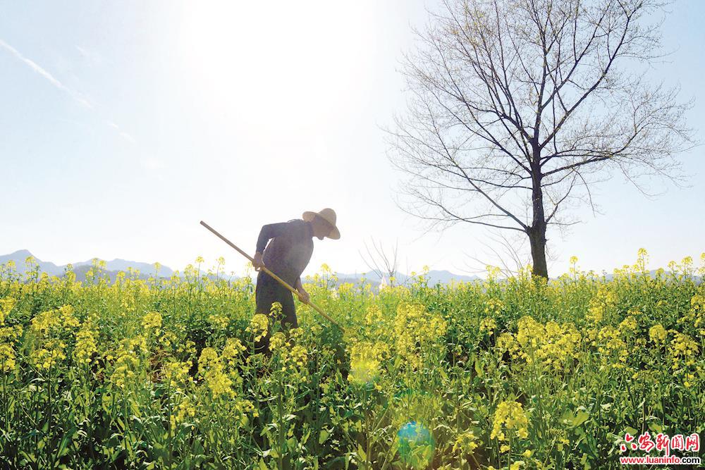 田畴沃野的意思,田畴沃野焕新颜