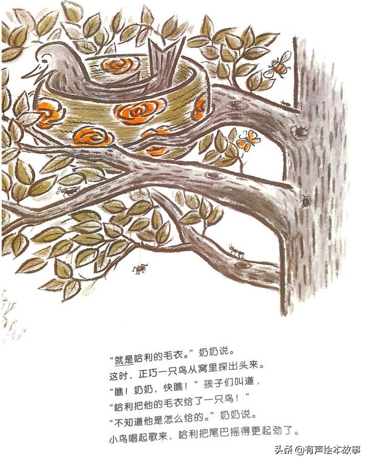 儿童故事哈利的花毛衣,哈利不可以有声绘本故事