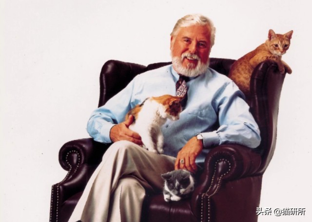 猫砂世界最重要的发明之一,为什么说猫砂是伟大的发明