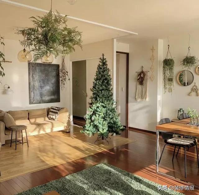 丁克夫妻一人一个房间,两人三餐四季爸妈的爱情