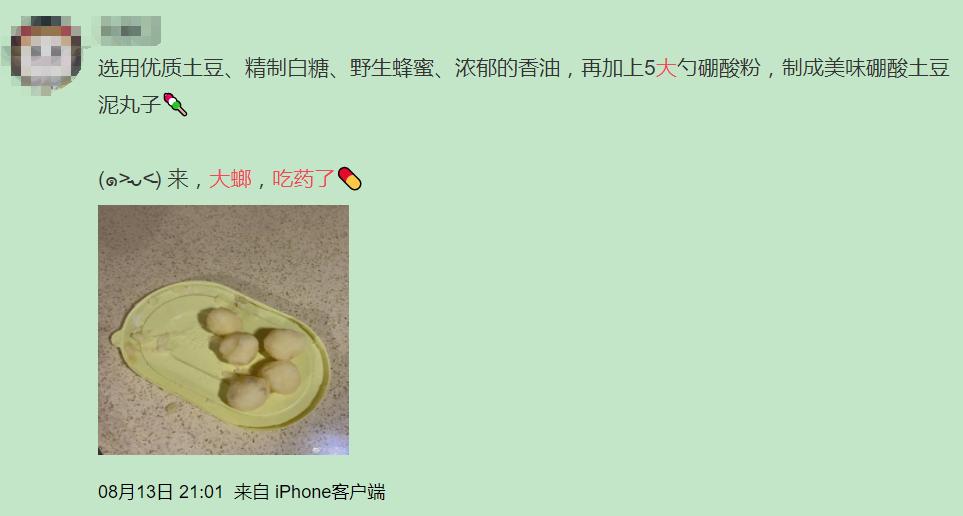 巨型蟑螂南方大蟑螂,广东巨型蟑螂和北方蟑螂对话