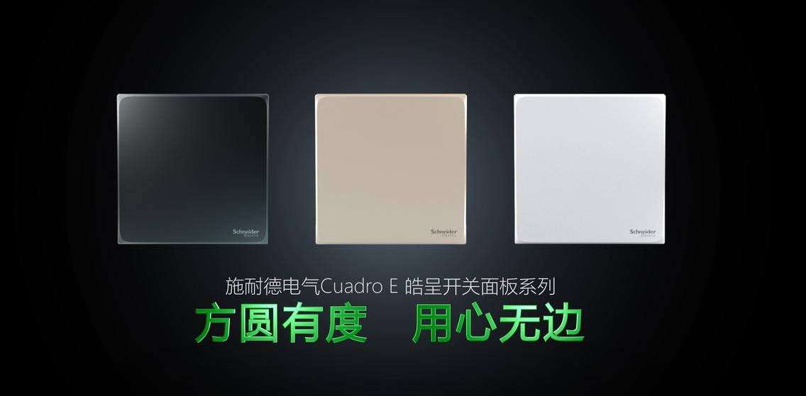 施耐德皓呈开关面板尺寸,施耐德皓呈系列空白面板开关插座