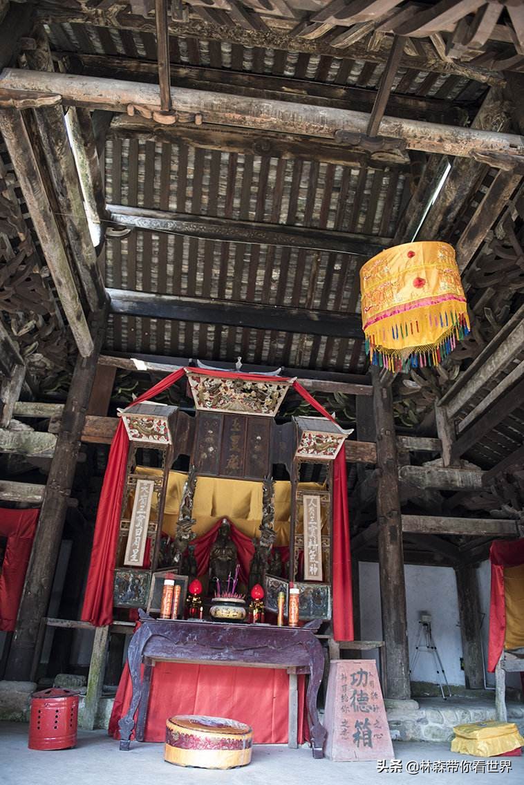 林森完整版免费观看,林森完整视频