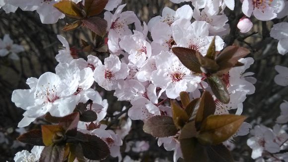 虽是旧回忆,可做新记录(一)——从2014年说起