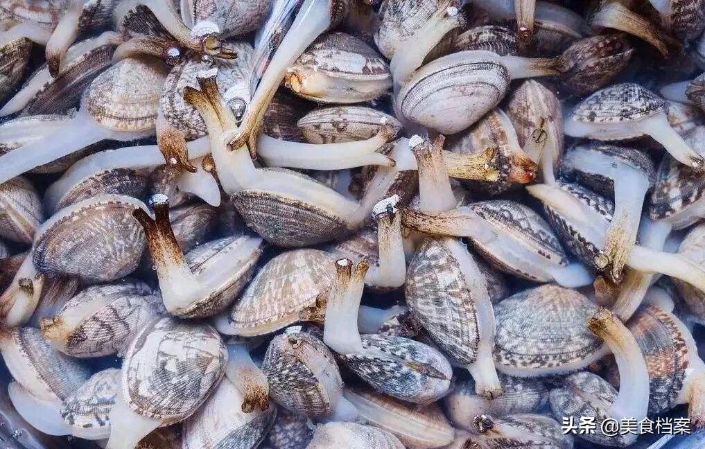 80岁老渔民教你挑选新鲜花蛤的方法和技巧，辨别花蛤死活有诀窍！