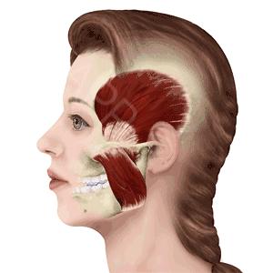 什么叫做唱商,唱商是啥