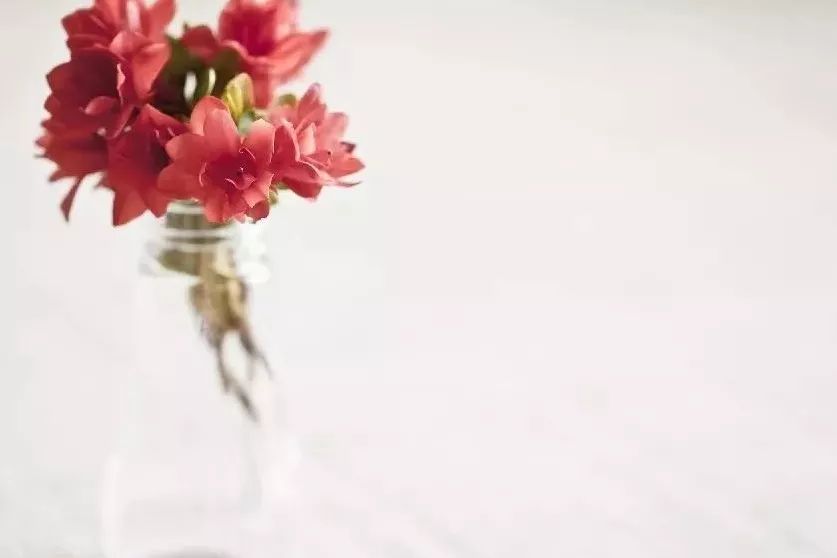 庭院花园植物风水知识,花园种植风水植物