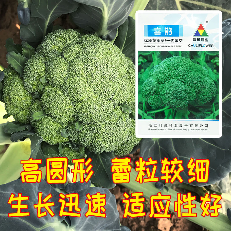 高产价值高的蔬菜,好吃好种又高产的蔬菜