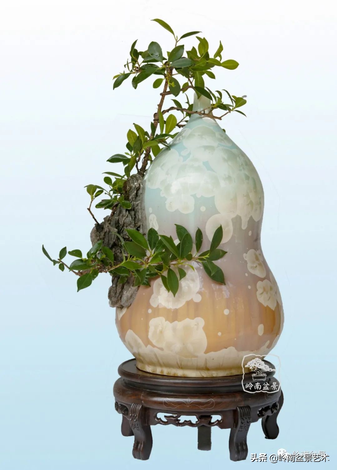 大师经典藏品,景德镇大师燕尾瓶价格