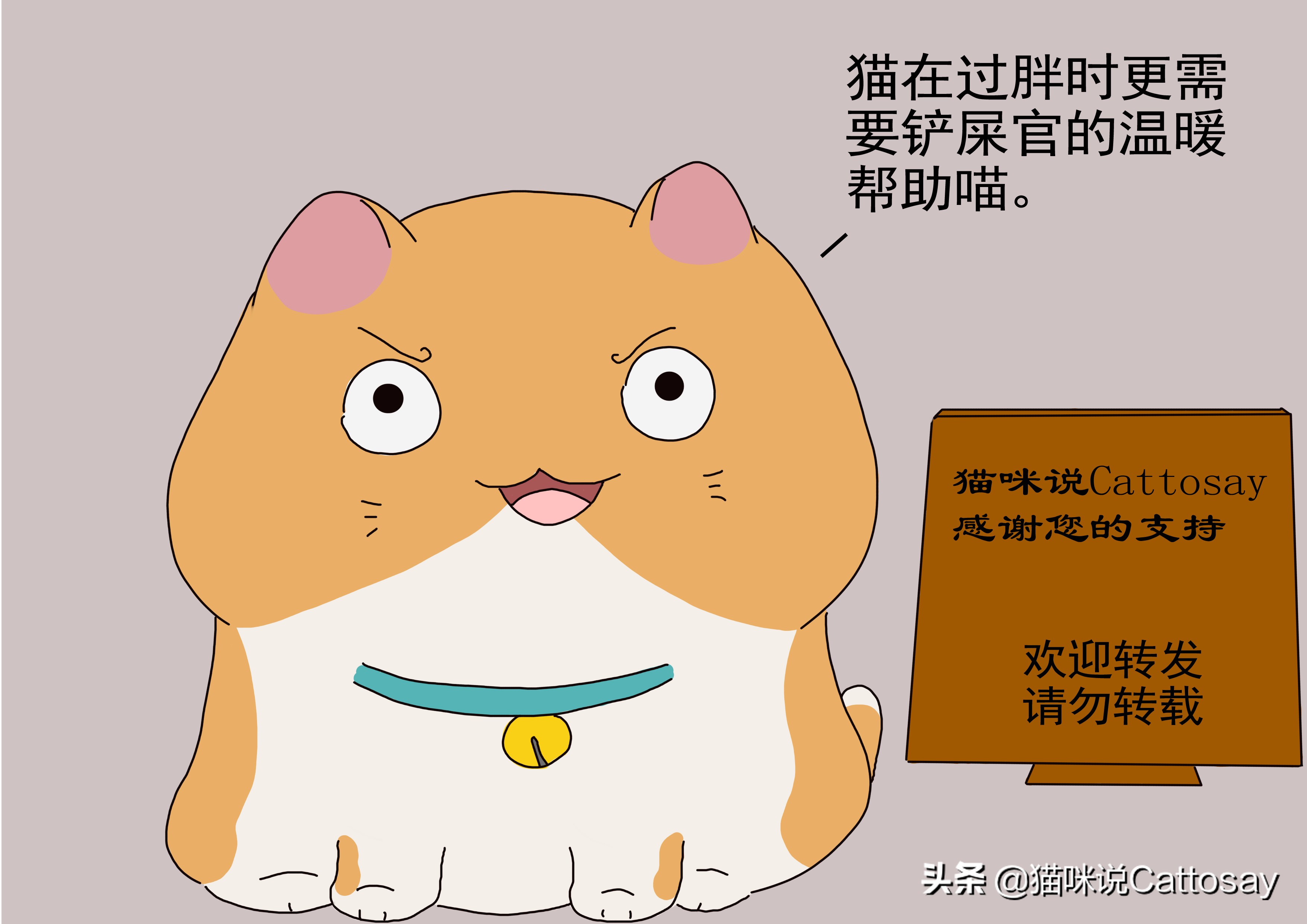 猫咪很瘦怎么办如何帮助猫咪减肥,猫太胖了怎么办该怎么给猫咪减肥