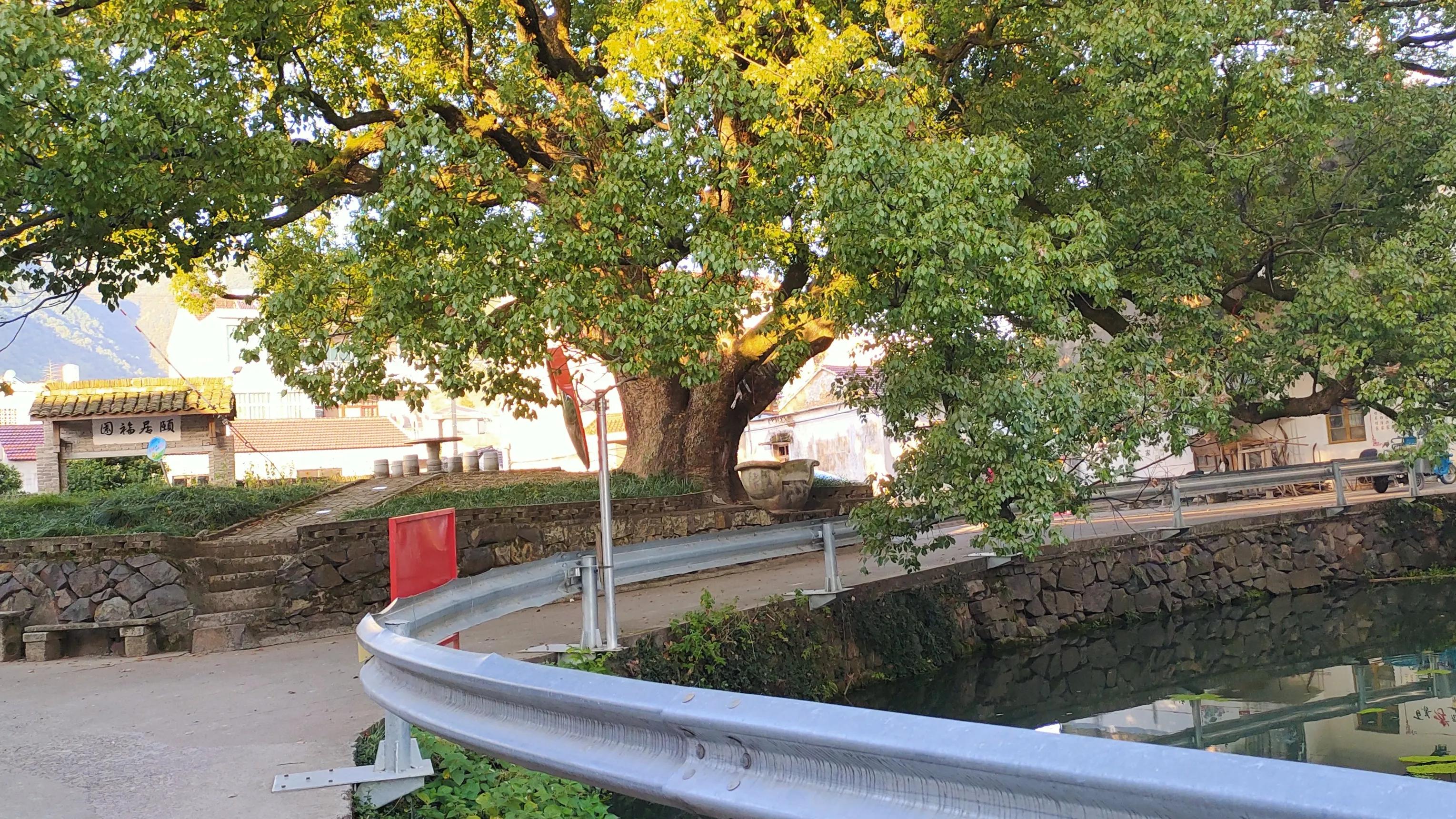 孩子想外婆怎么办,想外婆