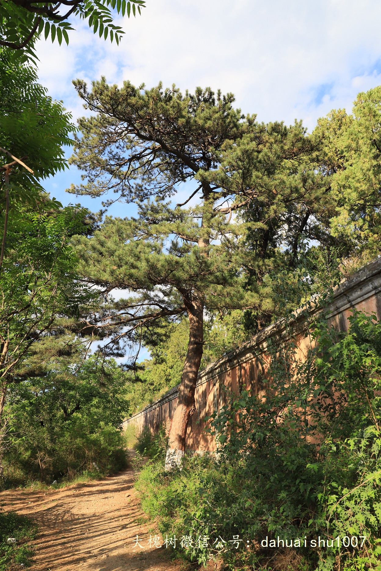 嘉靖陵墓永陵和永乐大典,明朝十三陵之永陵