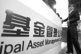 混合基金和股票基金哪个更值得买,指数基金和股票基金哪个适合定投