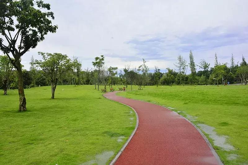 双流区城市森林公园,你生活的城市什么样