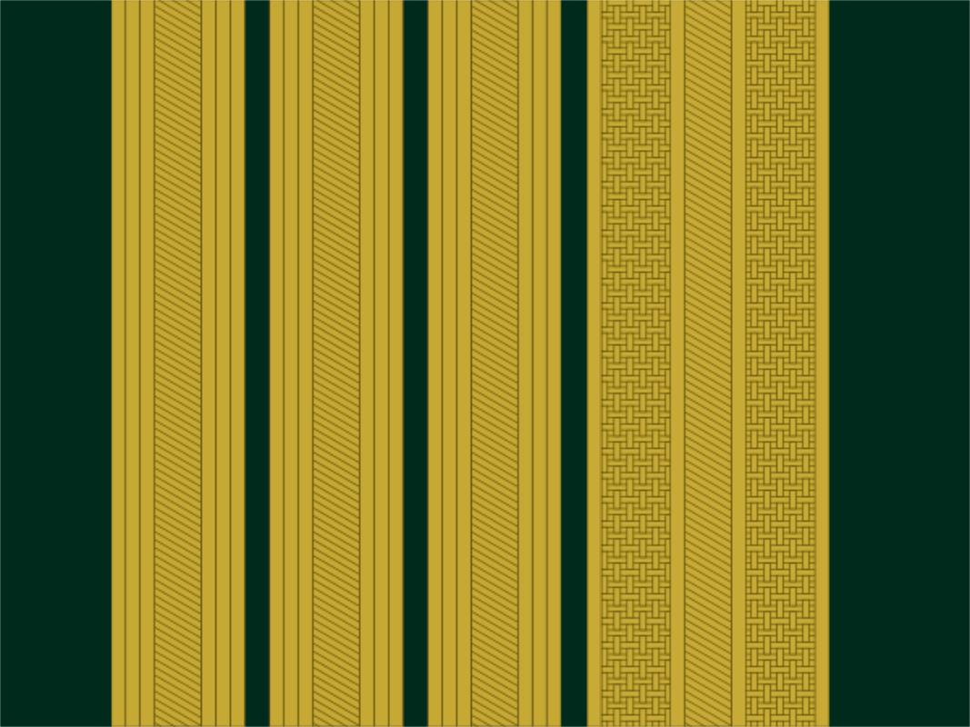 各国军衔标识葡萄牙,西班牙军衔等级一览表