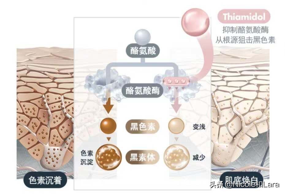 优色林美白淡斑精华怎么使用,eucerin优色林测评