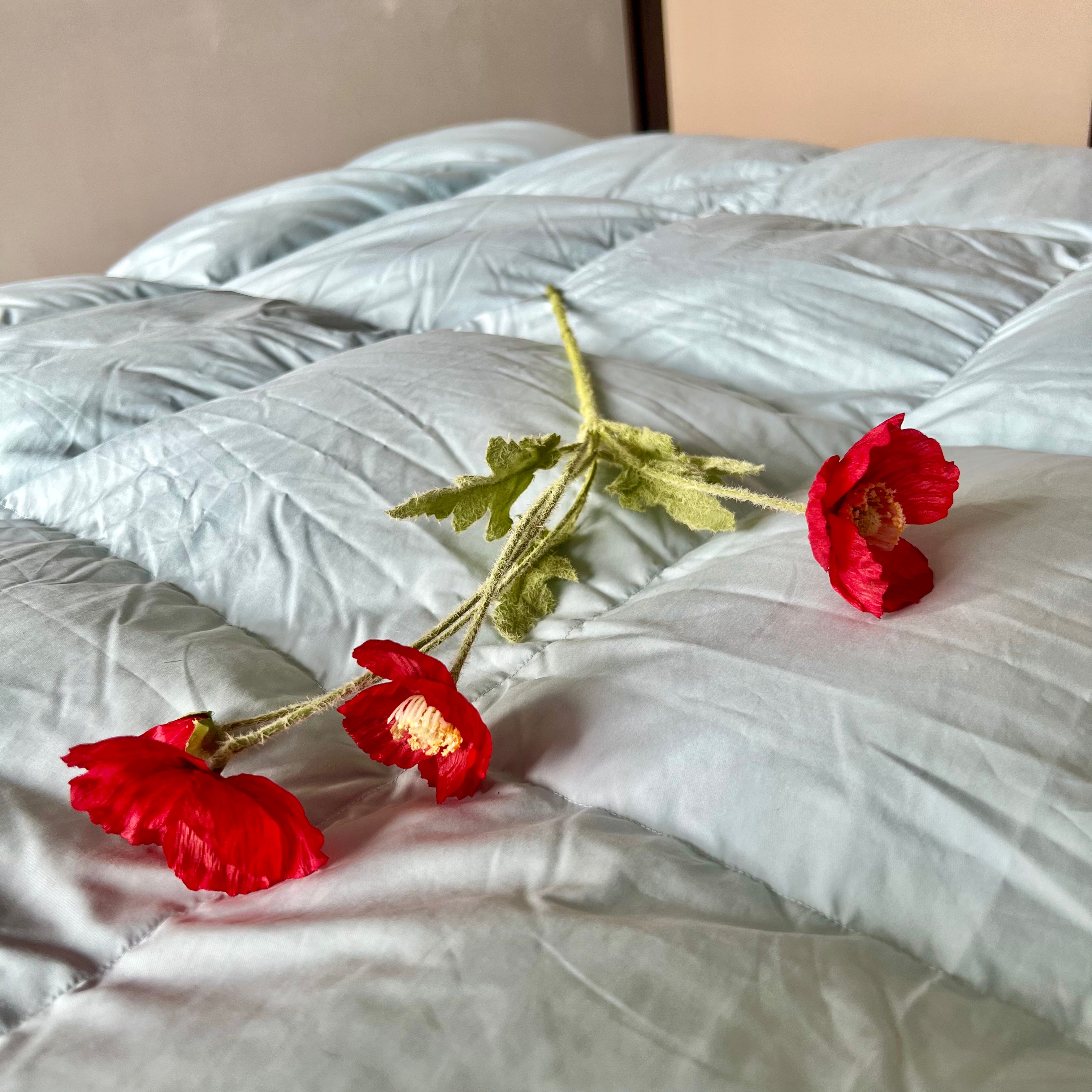 冬天需要一件暖心的外套,冬季白鹅绒被子